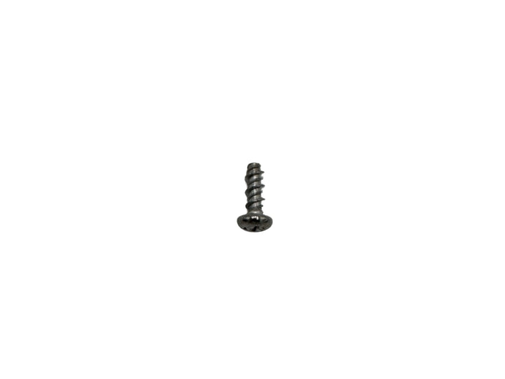 Watkins Wellness 10x1/2 Screw SS Chrome 34366