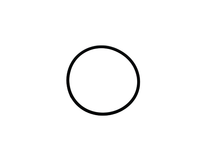 Watkins Wellness O-Ring 2" Diverter 34319