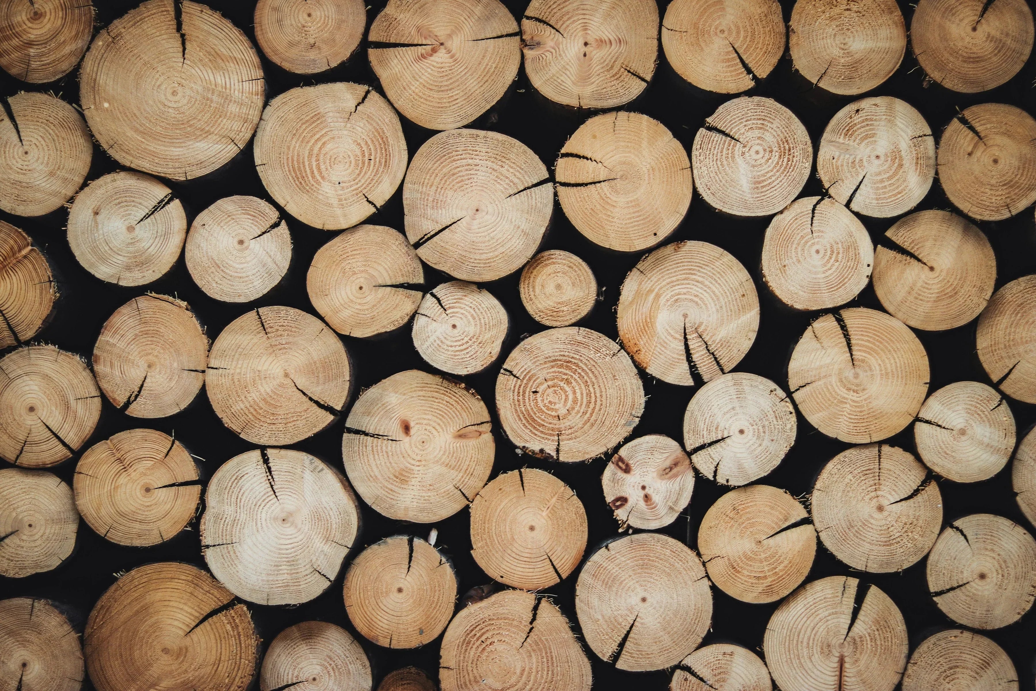 Which Wood Is Best for Indoor vs. Outdoor Saunas?