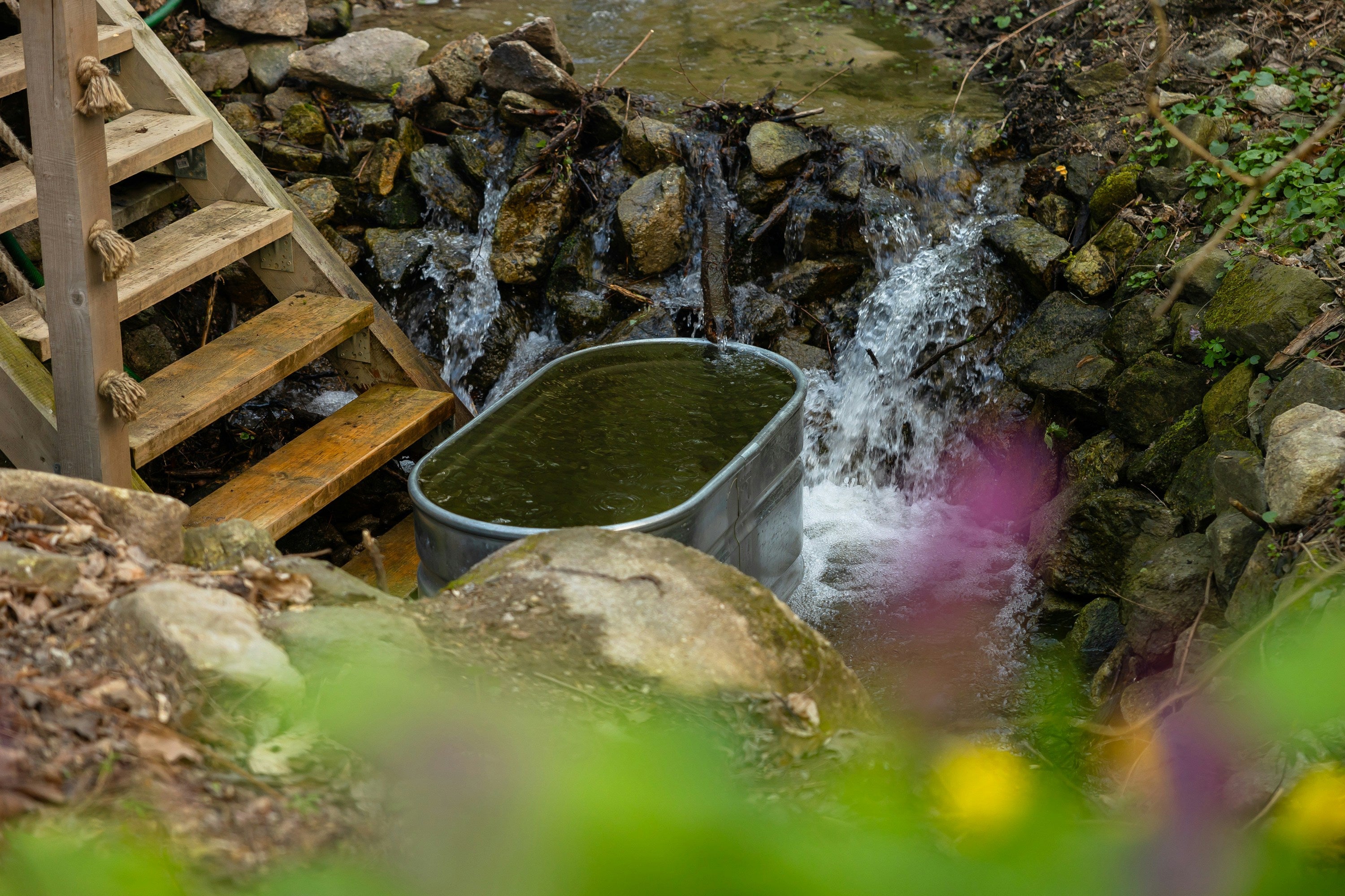 Cold Plunge Buyer's Guide: At-Home Contrast Therapy