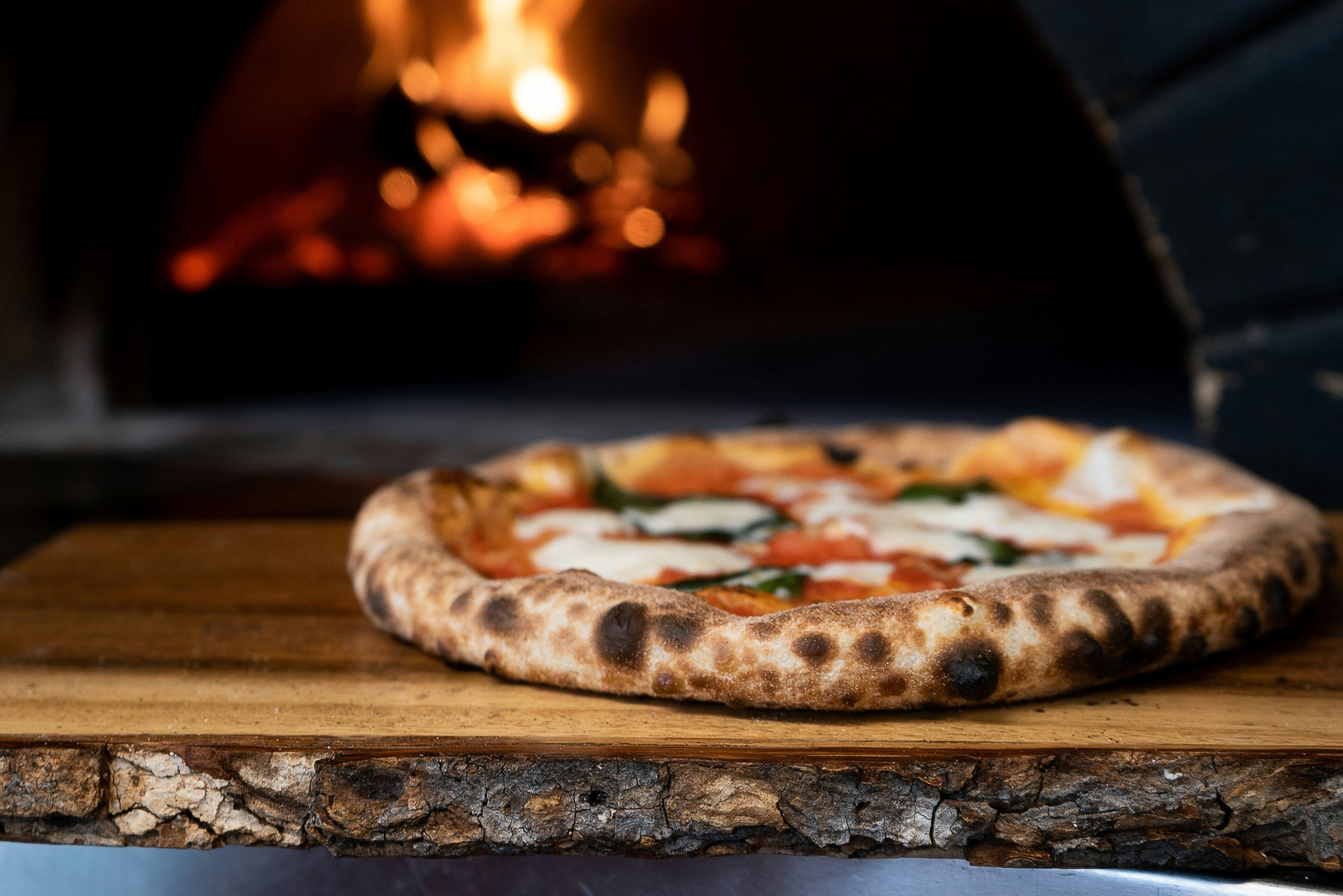 Pizza Oven Recipes: 25 Ideas for Backyard Entertaining