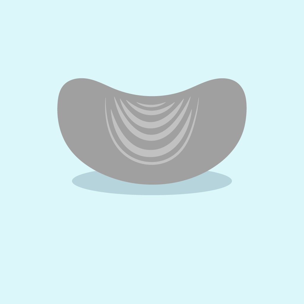 Spa Parts