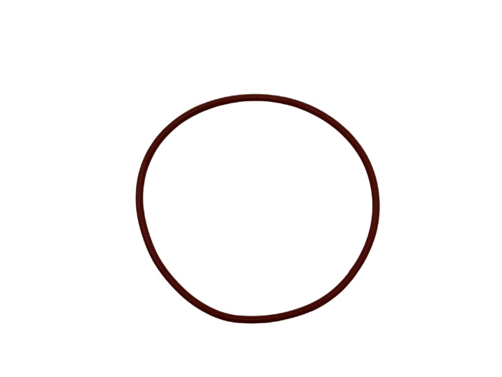 Watkins Wellness Light Lens Gasket 38288