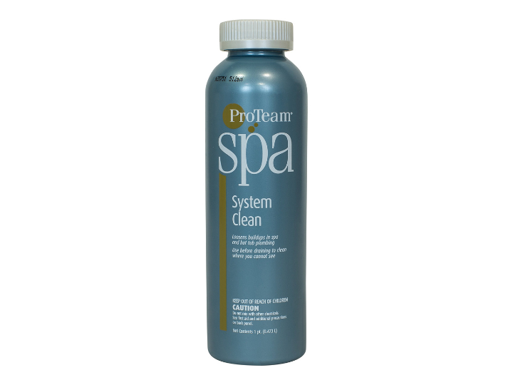 ProTeam System Clean - 1 Pint - Leisure Time Inc.